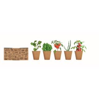 Kit de cultivo de verduras promocional